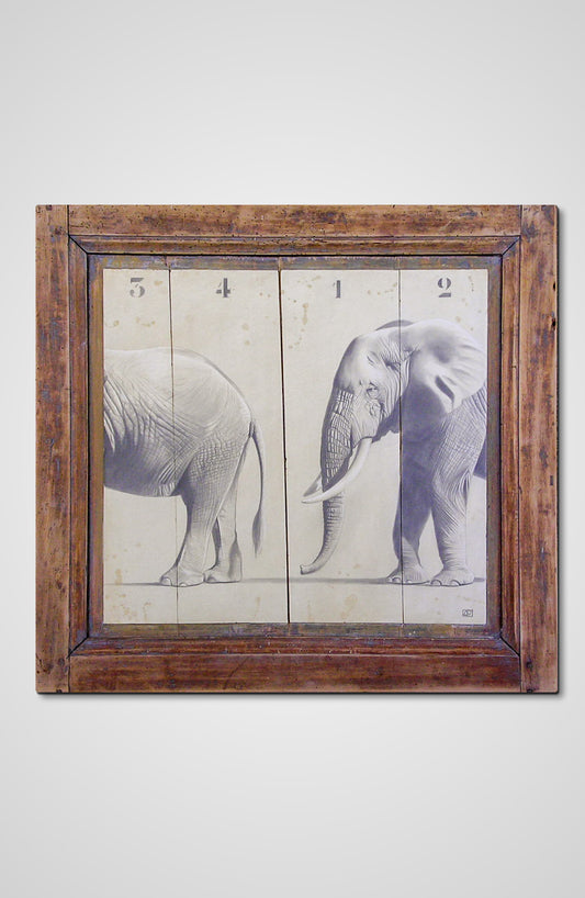 The Elephant pencil fine art wooden door animals Francois AVONS upcycle decor